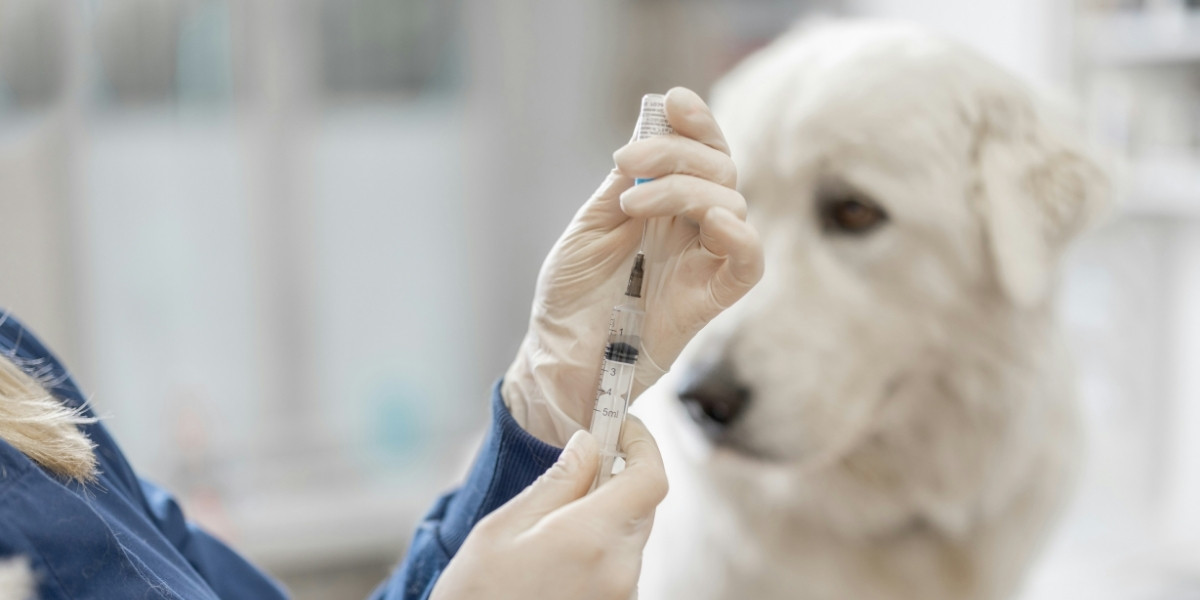 Rabies: Understanding, Preventing, and Eradicating a Global Threat