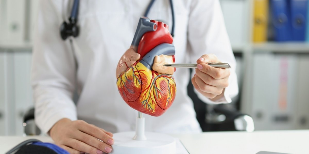 Understanding Heart Palpitations: Causes, Risks, and Management