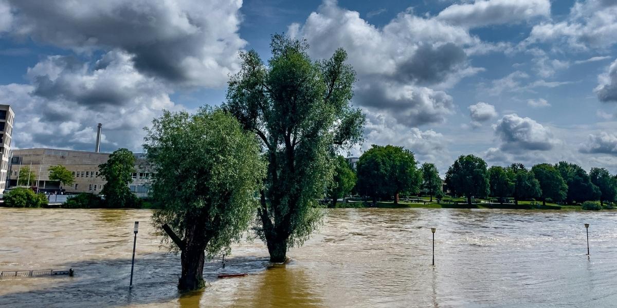 Understanding the Recent Flood Crisis in Texas