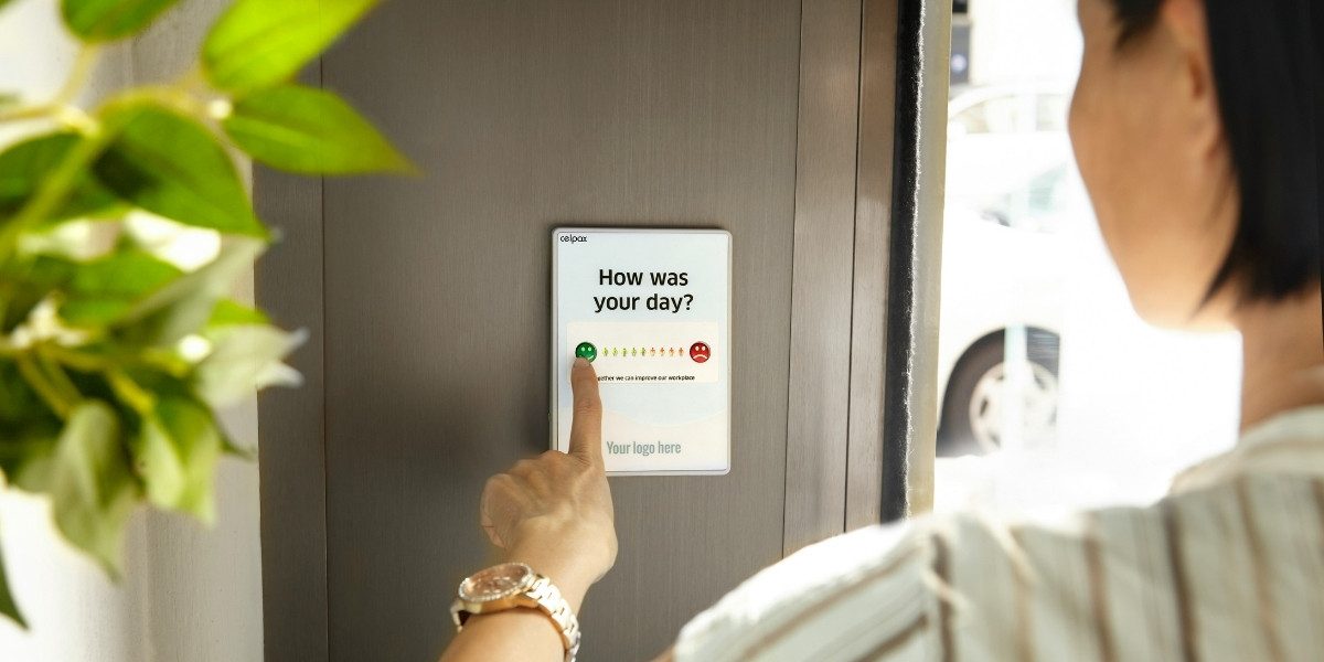 How Survey Demographics Shape Data Insights: What You Should Know
