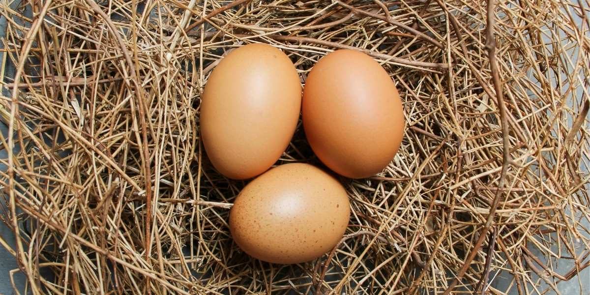 The Real Advantages of Choosing Organic Eggs